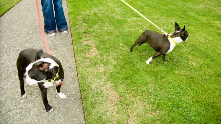 Unveiling the Meaning of Fashion and Style: Exploring Their Significance and Interplay Feb22 19 80406768